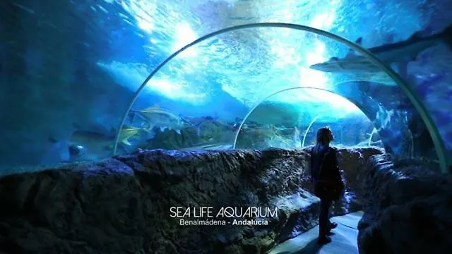 ベナルマデナLuminoso Apartamento Con Terraza, Jardin Y Piscina.アパートメント